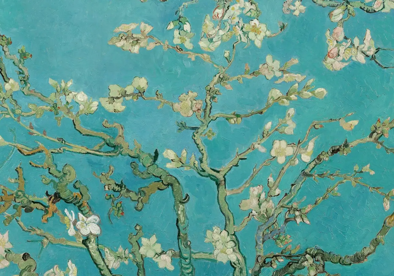 Cherry blossoms